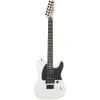 Fender Jim Root Artist Series...