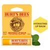 Burt's Bees 100% Natural...