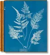 Anna Atkins. Cyanotypes...