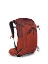 Osprey Manta 24L Men's Hiking...