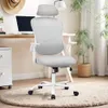 Gray Office Chair Ergonomic...