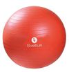 Sveltus Gymball 55 cm Adult...