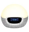 Lumie Bodyclock Shine 300...