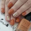 24 Pieces/Set TOP Short Style...