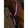 Woof Wear LED Neck Band -...