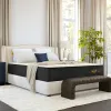 Nolah Signature Foam Mattress...