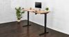 UPLIFT Standing Desk (V2 &...