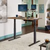 Vari Electric Standing Desk...