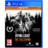 Dying Light: The Following...