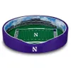 Purple Northwestern Wildcats...