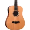 Taylor Baby Acoustic-Electric...