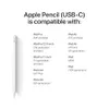 Apple Pencil (usb-C): Device...