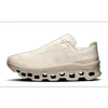 ON RUNNING MENS Cloudmonster...