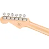 Squier Paranormal Custom...