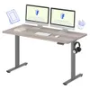 FLEXISPOT EN1 One-Piece...