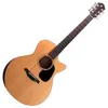 Furch Guitars Blue Deluxe...
