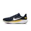 Michigan Pegasus 41 Nike...