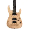 Charvel Pro-Mod DK24 HH HT E...