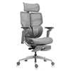Hinomi X1 Ergonomic Office...