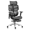 Hinomi X1 Ergonomic Office...