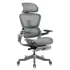 HINOMI H1 Pro Ergonomic Chair...