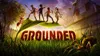 Grounded Standard - Nintendo...