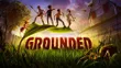 Grounded Standard - Nintendo...
