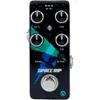Pigtronix PWM Space Rip...