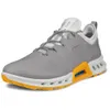 ECCO Men's Biom C4 Gore-tex...