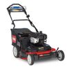 Toro Personal Pace TimeMaster...