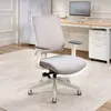 Clarksville Ergonomic Chair...