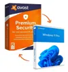 Windows 11 Pro + Avast...