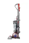 Dyson Ball Animal