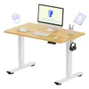 FLEXISPOT EN1 Standing Desk...