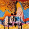 Wall of Eyes [LP] - VINYL
