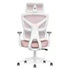 Ergonomic Office Chair