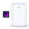 Graded MeacoDry ABC 12L...