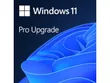 Microsoft Windows 11 Pro...
