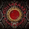 Whitesnake: Flesh & Blood