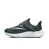 Nike Women's Air Zoom Pegasus...