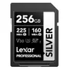 Lexar 256GB Professional...