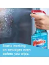 Windex Glass And Window...