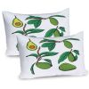 Ambesonne Avocado Pillow Sham...