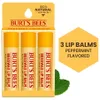 Burt's Bees 100% Natural...