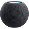 HomePod mini - Space Gray