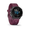 Garmin Forerunner 245,...