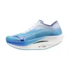 Mizuno Wave Rebellion Pro 2,...