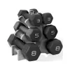 CAP Barbell 32 lb Neoprene...