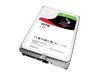 Seagate IronWolf 10TB NAS...