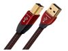 AudioQuest Cinnamon USB A to...